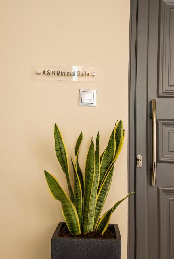 A & B Minimal Suite Ιι With Sea View In Argostoli Kültér fotó
